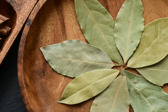 Bay Laurel Leaf